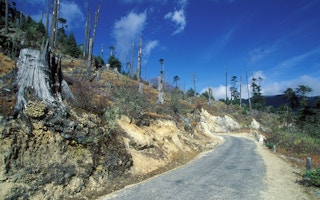 deforestation bhutan3