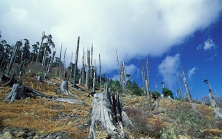 deforestation in Bhutan