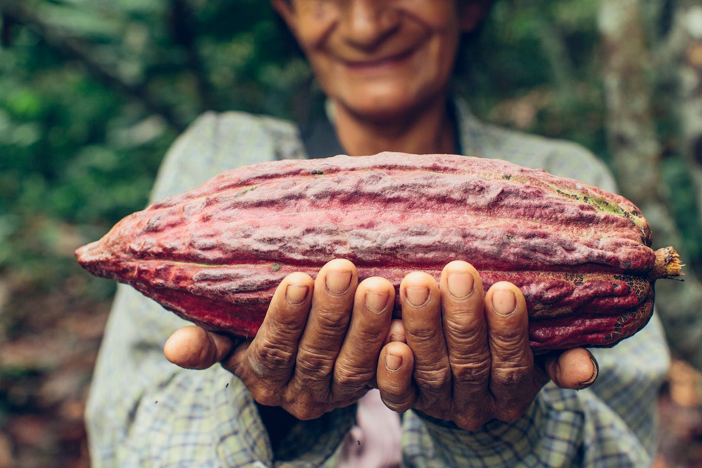 Juanita and her cocoa bean.