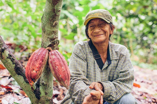 cocoa farmer in Peru