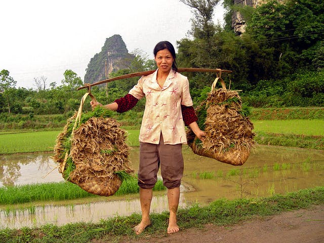 woman in rural China
