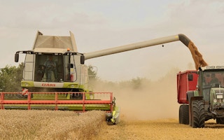 Tractor harvesting wheat