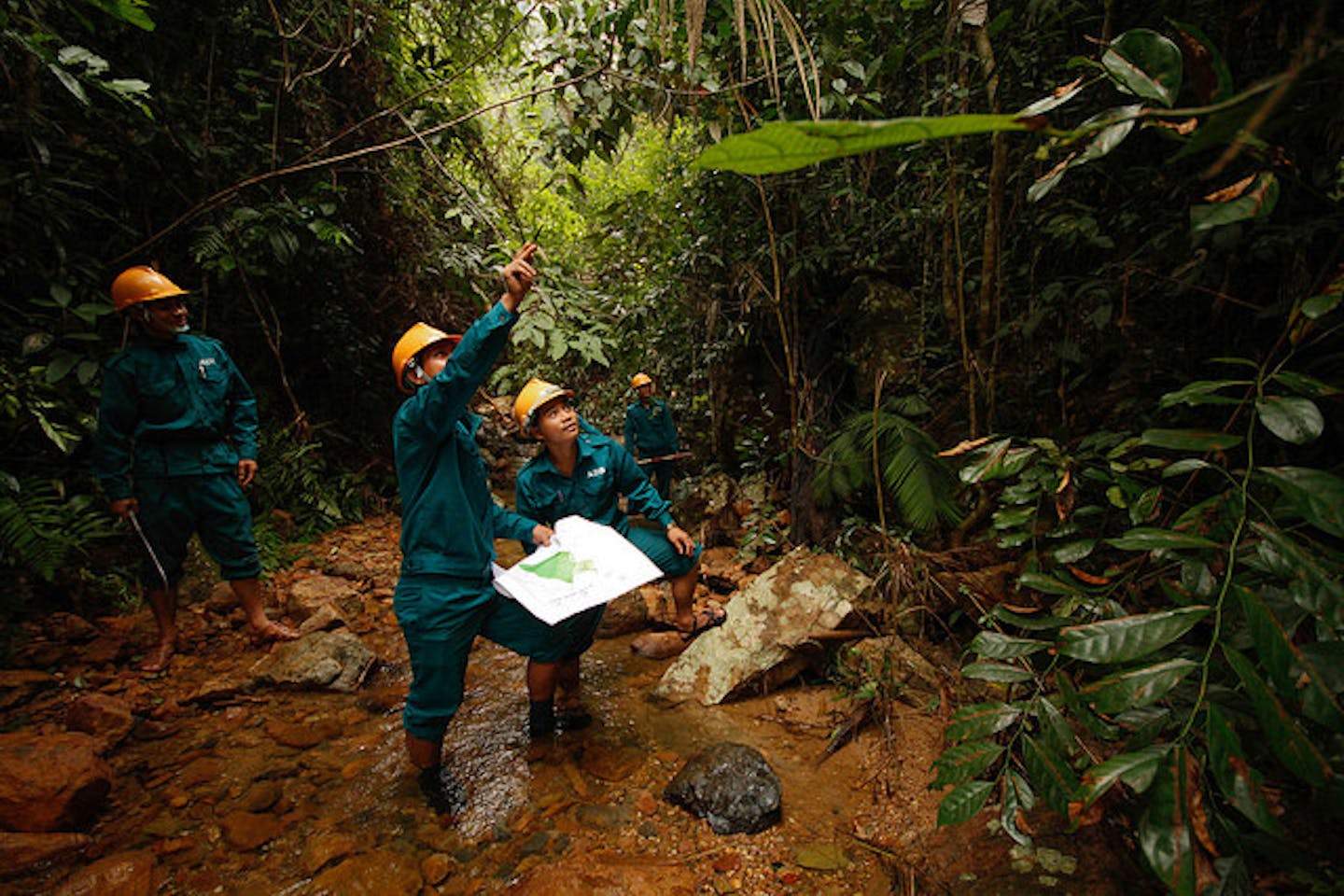 Vietnam forest protection