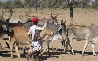 Adapting migratory pastoralists to climate change in Rajasthan, India
