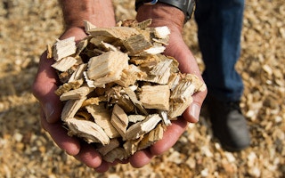 a handful of biomass