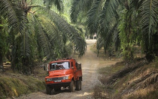 truckload of oil palm 