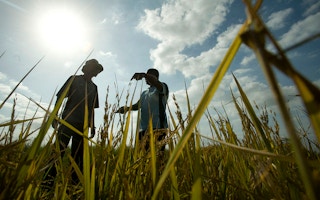 climate resilience in Africa