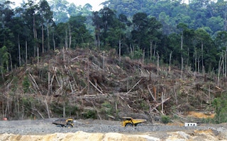 forest land cleared for coal