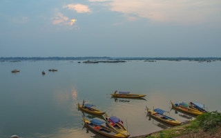 Mekong river diversity