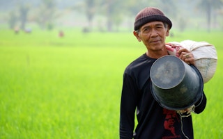 indonesian farmer