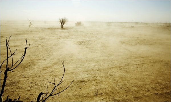 arid land