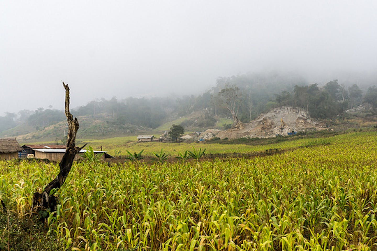 mining banned in laos