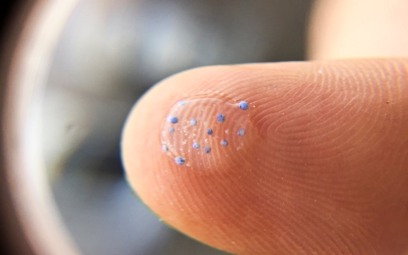 Why microbeads are such a threat and why they’re so hard to handle ...