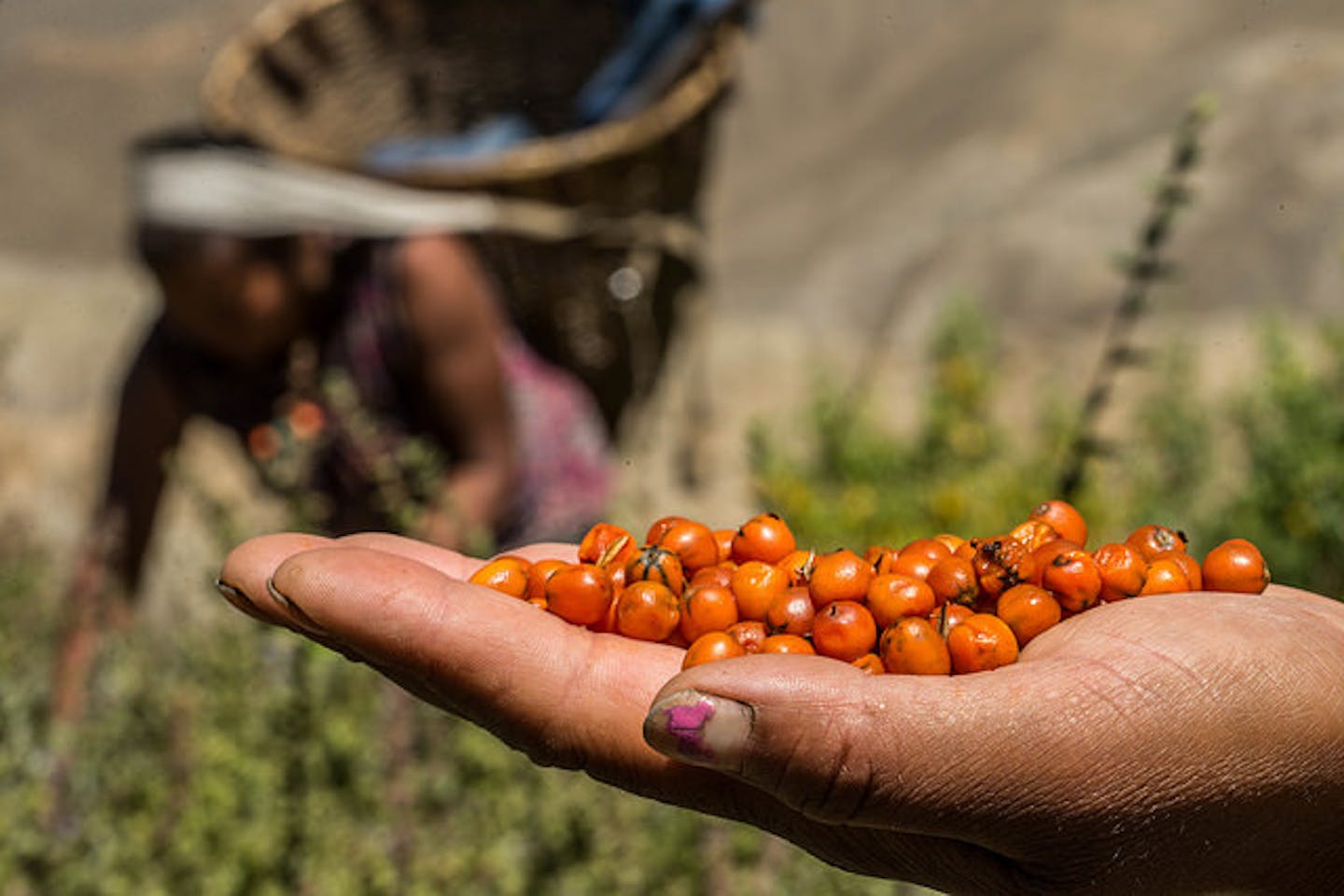 natural resources in nepal