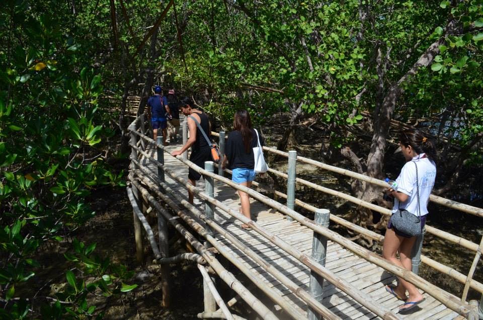 sagay mangrove eco park