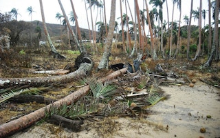 cyclone tomas fiji