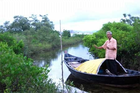 Vietnam Mangrove