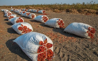 Packed dried red chillies are ready to be sent for further processing at Sindhanur, Raichur district, Karnataka, India.