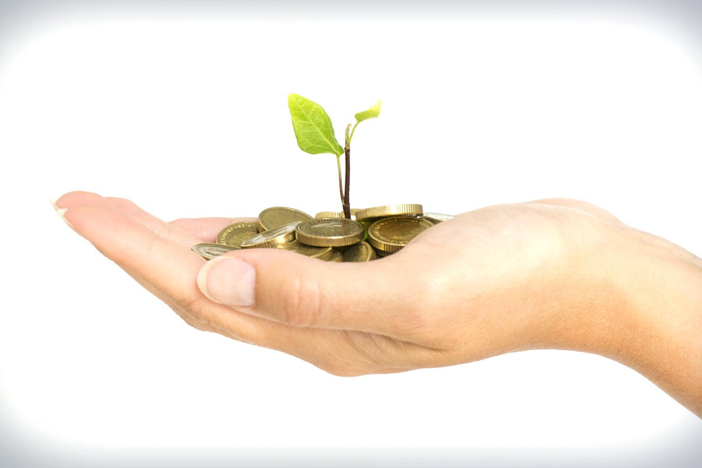 growing sustainable finance