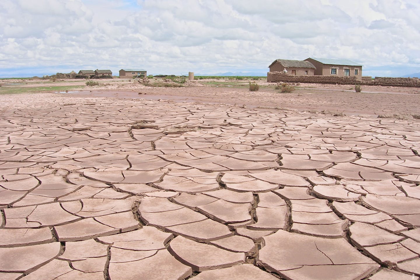 Drought stricken pampa in Bolivia