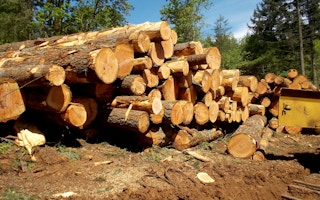 Logging landscape