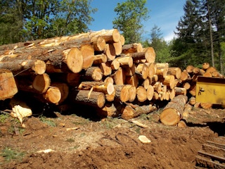 Logging landscape