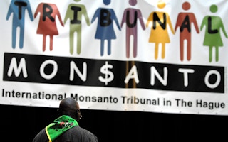 Man at the Monsanto Tribunal people's court