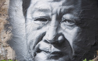 Xi Jinping in grayscale