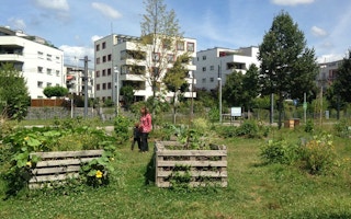Green space in the city