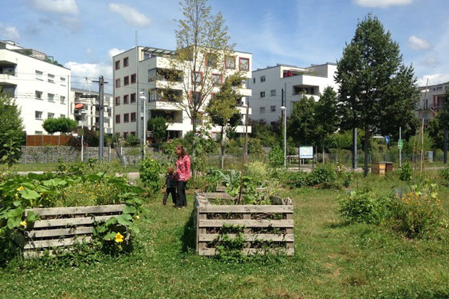 Green space in the city