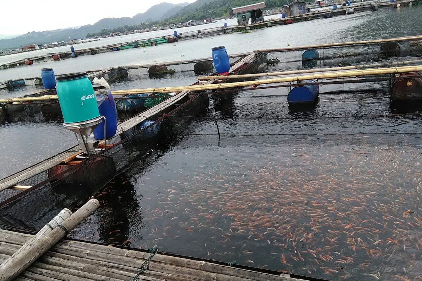 eFishery set up at a fish pond in Indonesia