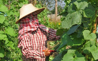 Farmer under agricultural training in Thailand