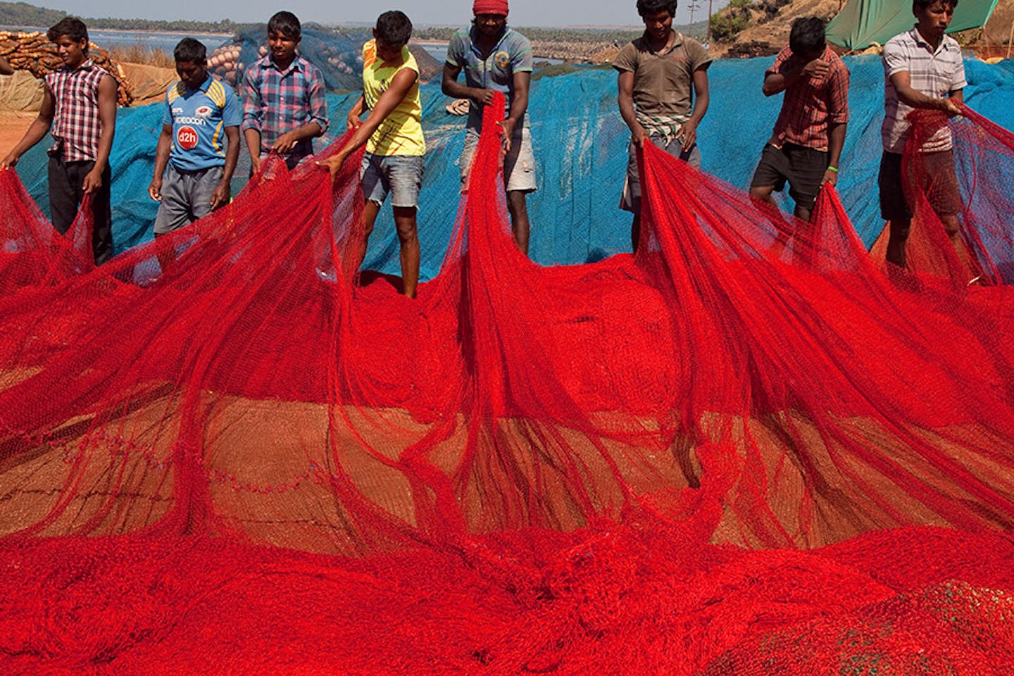 Fishermen in Ratnagiri, India pull in their nets