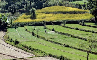 A farmer waters his crops in Myanmar