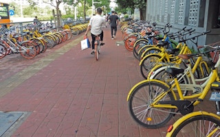 Bicycles belonging to a ride-sharing programme line a street in China