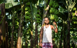 A banana farmer in Nepal