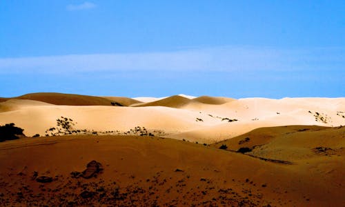 China's fight against desertification should not be done at the cost of water security