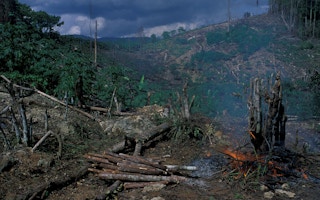 deforestation west java indonesia 