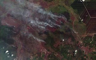 south sumatra forests fires