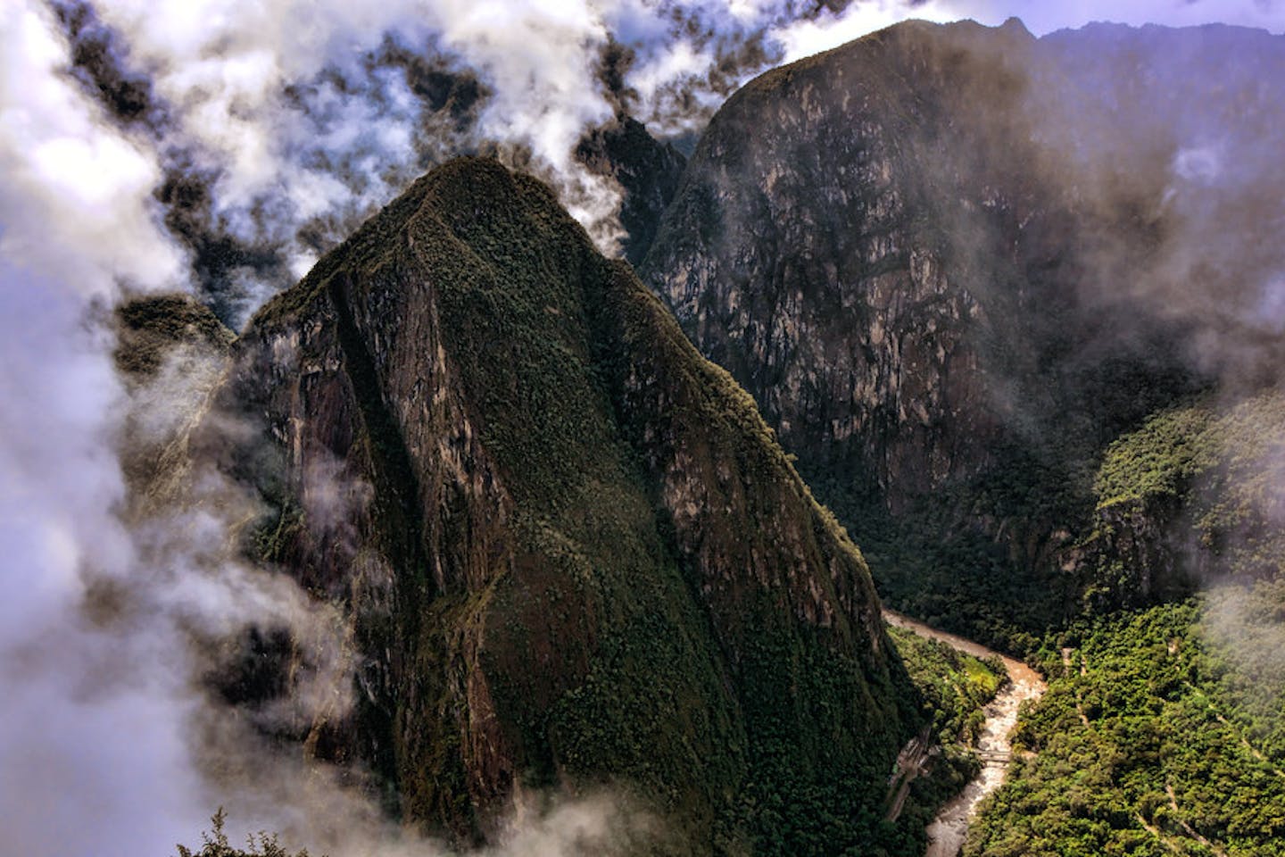 cloud forest peru