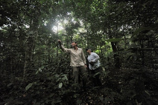 Gabon forest reserve