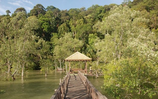 Sarawak Borneo
