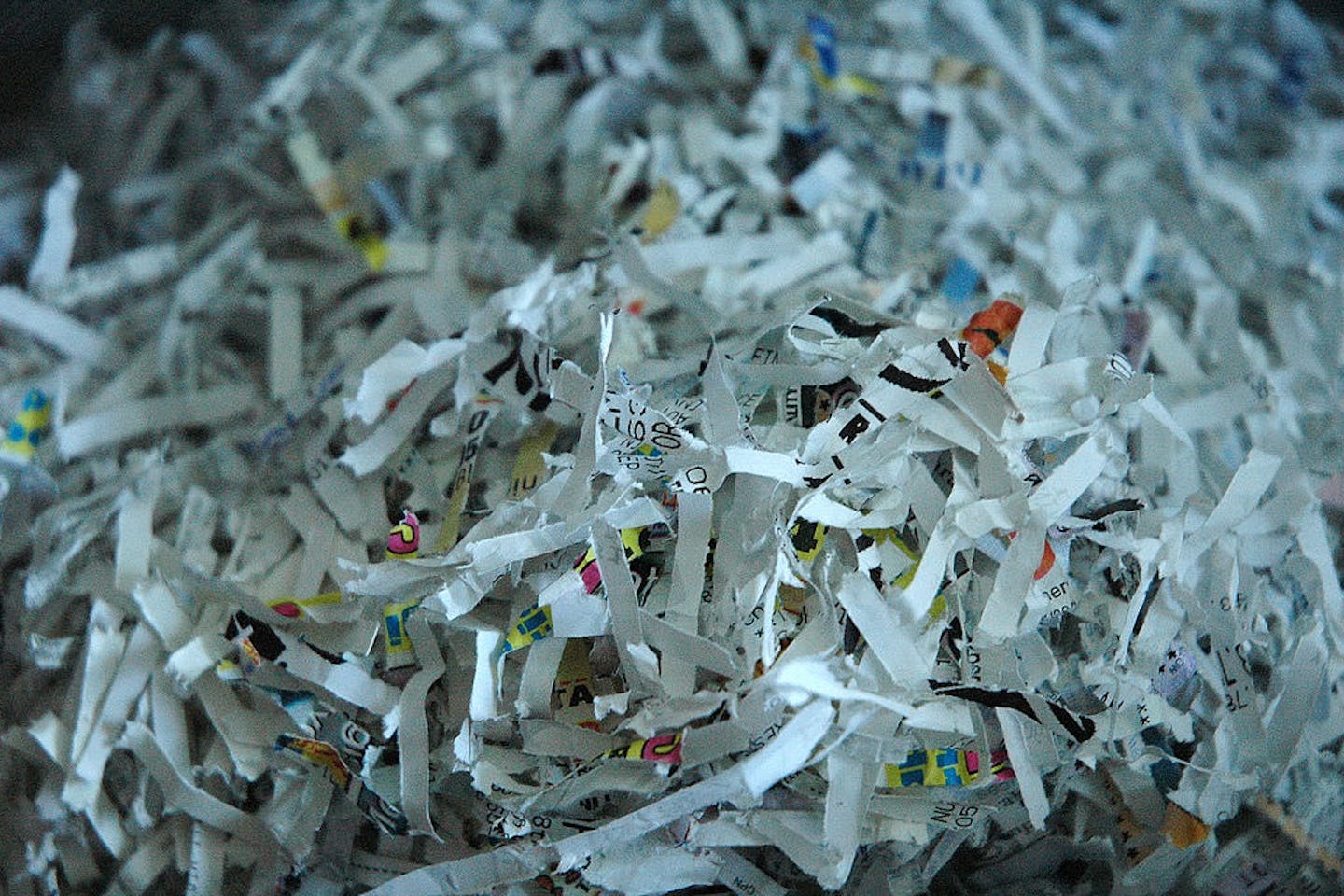 shredded sustainability reports