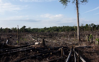 burnt and degraded forest riau