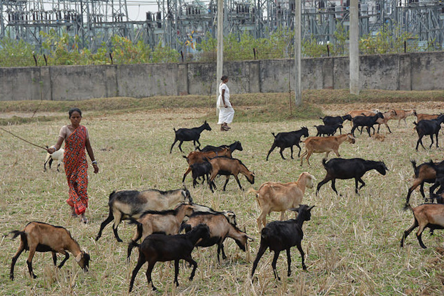 Odisha India