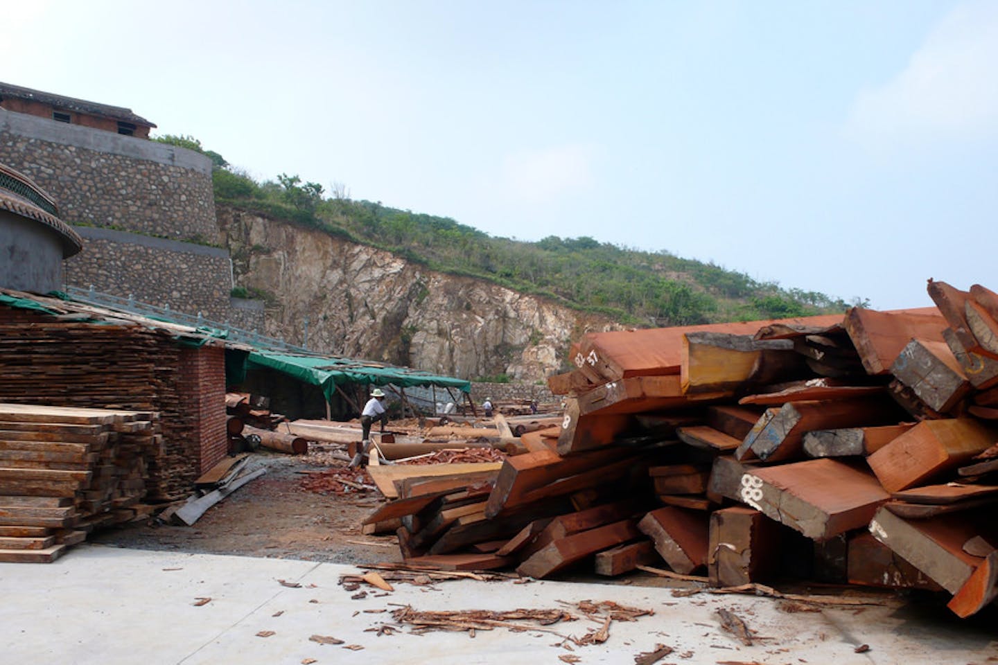 timber china