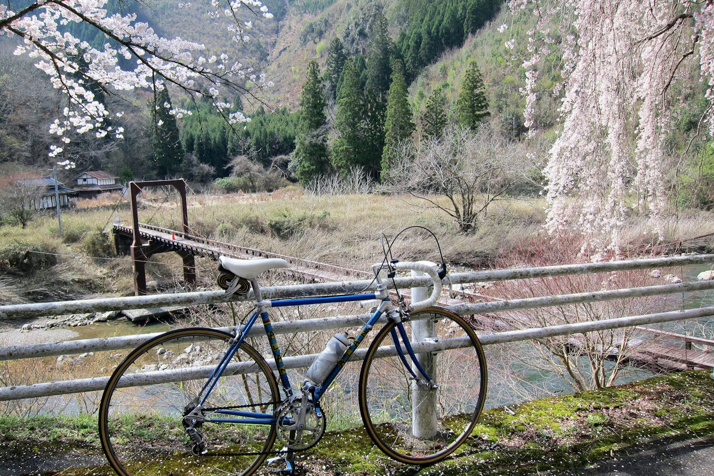 Bicycle overlooking nice scenic place in Kyoto