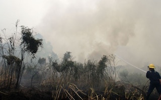 Forest fire in Pekanbaru, Riau, Indonesia