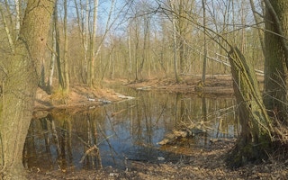 Poland park lake