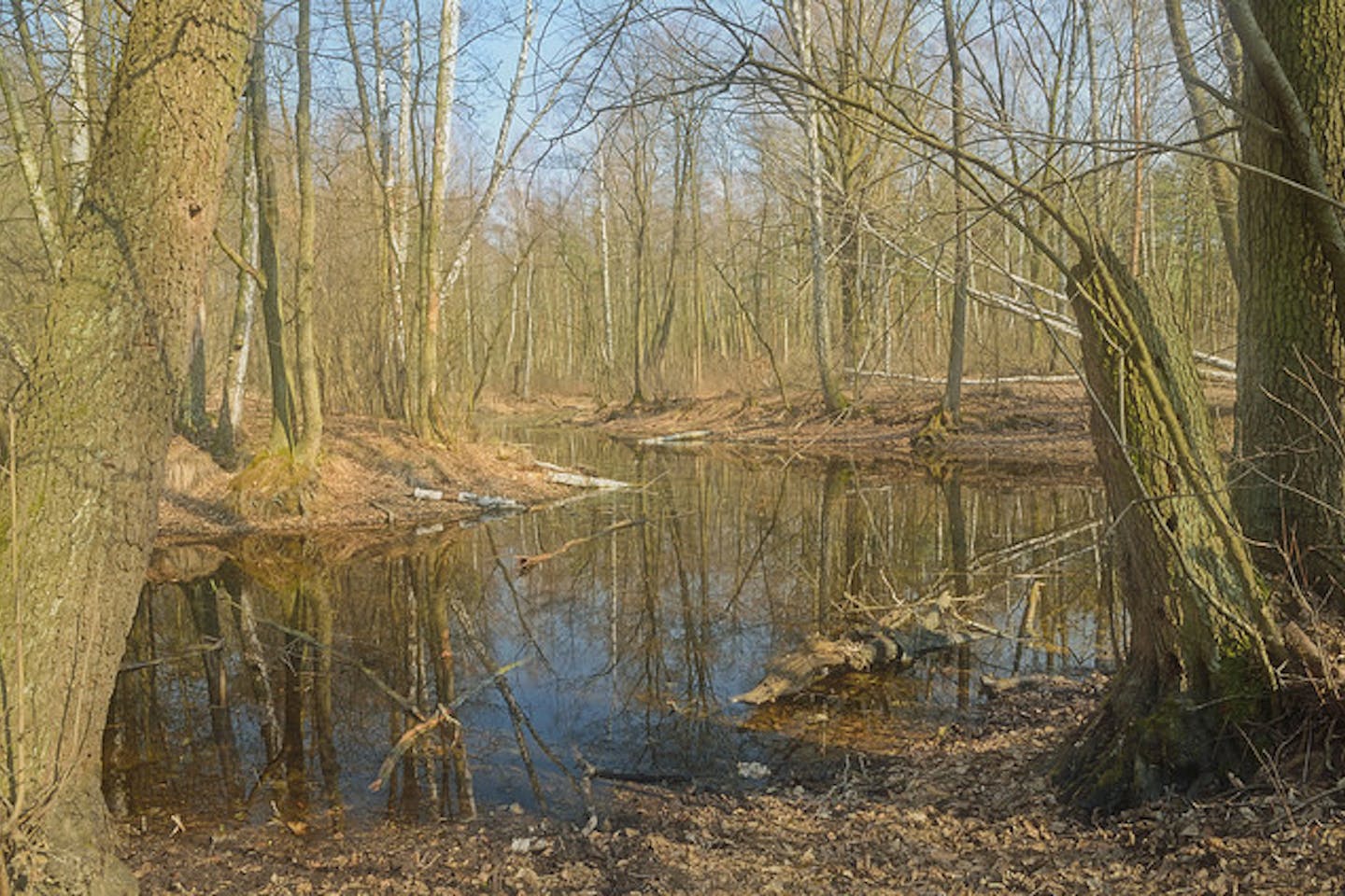 Poland park lake